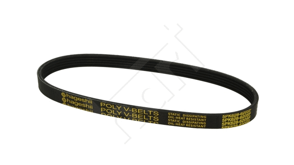 V-Ribbed Belt (917 788)