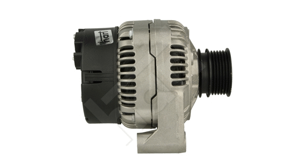 Alternator (546 445)
