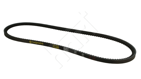 V-Belt (305 747)