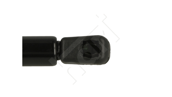 Gas Spring, bonnet