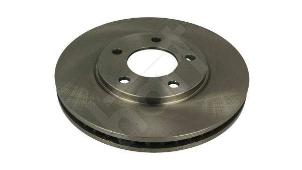 Brake Disc (224 207)