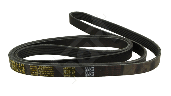 V-Ribbed Belt (334 324)