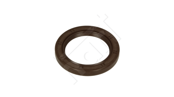 Shaft Seal, crankshaft (720 265)