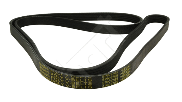 V-Ribbed Belt (368 883)