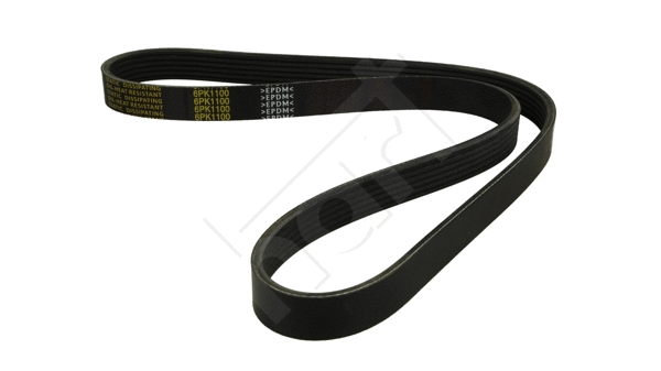 V-Ribbed Belt (334 314)