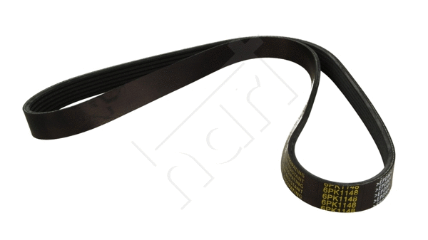 V-Ribbed Belt (331 783)