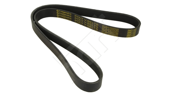 V-Ribbed Belt (917 770)