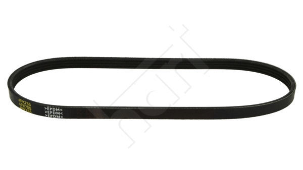 V-Ribbed Belt (917 775)