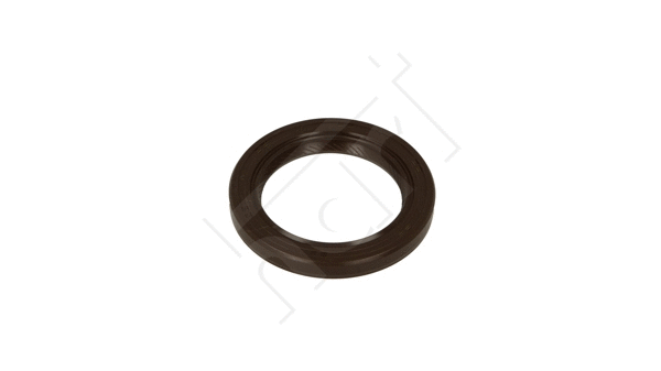 Shaft Seal, crankshaft (720 234)