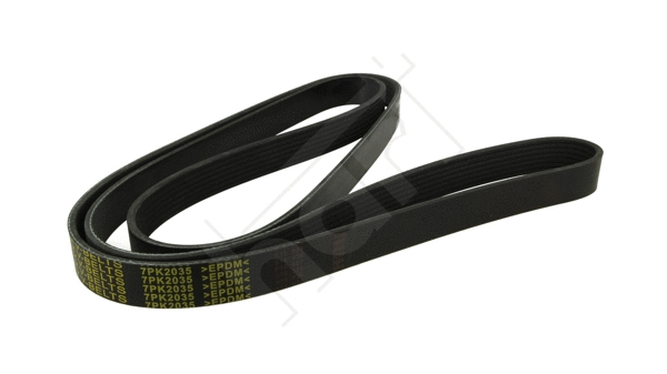 V-Ribbed Belt (369 016)