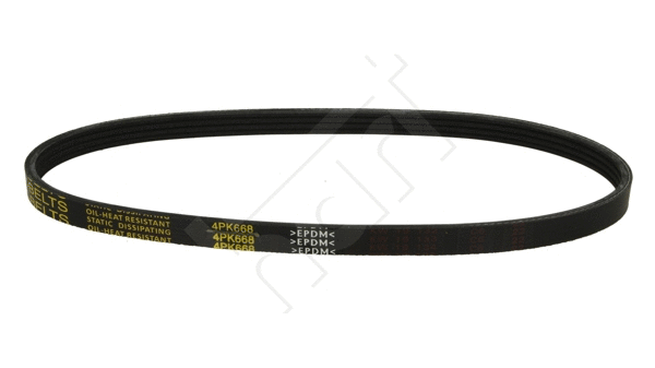 V-Ribbed Belt (331 880)
