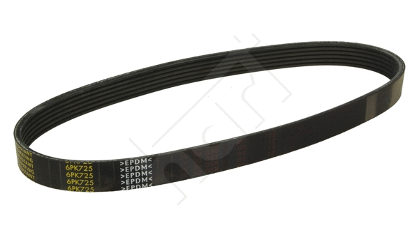 V-Ribbed Belt (334 307)