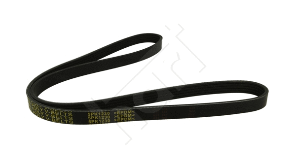 V-Ribbed Belt (368 870)