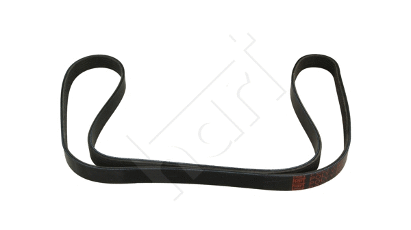 V-Ribbed Belt (930 691)