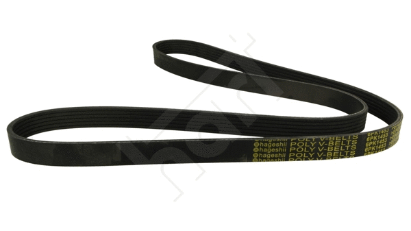 V-Ribbed Belt (368 941)