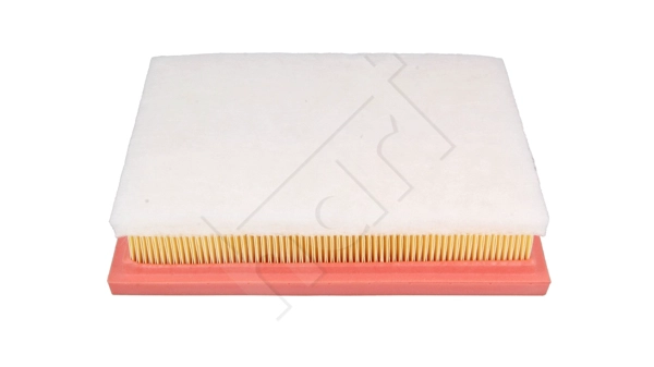 Air Filter (932 495)