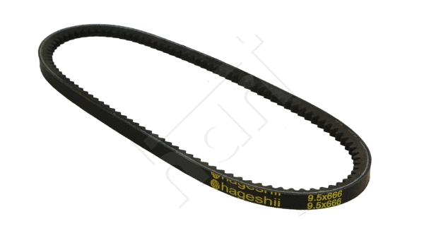 V-Belt (334 026)