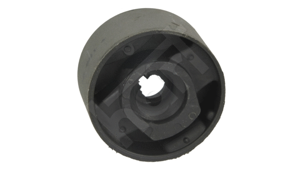 Mounting, control/trailing arm (443 651)