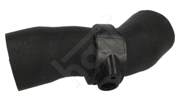 Charge Air Hose (615 131)