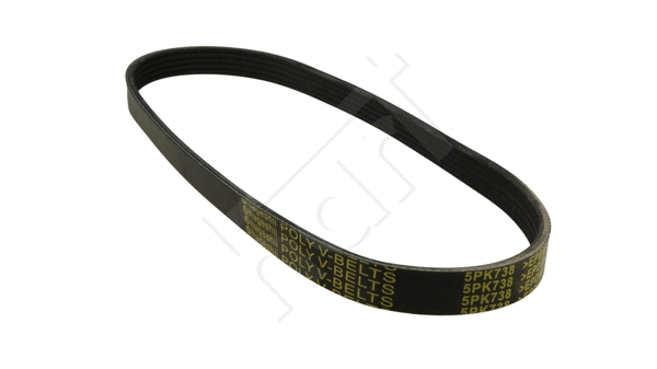 V-Ribbed Belt (368 893)
