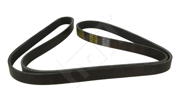 V-Ribbed Belt (331 882)