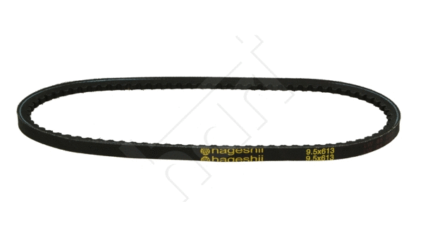 V-Belt (305 645)