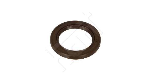 Shaft Seal, crankshaft (720 275)