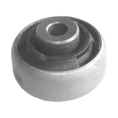 Mounting, control/trailing arm (420 816)
