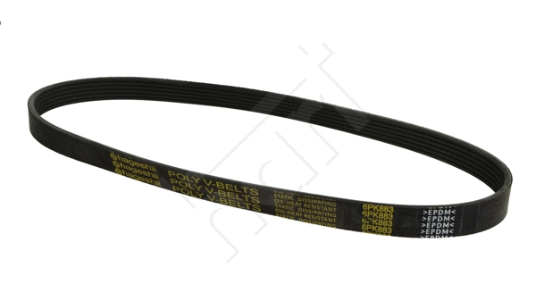 V-Ribbed Belt (334 022)