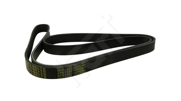 V-Ribbed Belt (368 948)