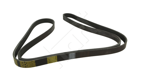 V-Ribbed Belt (917 411)