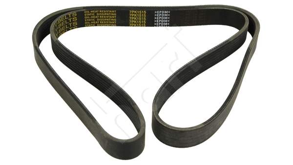 V-Ribbed Belt (917 764)