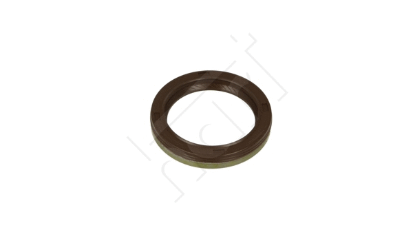 Shaft Seal, crankshaft (720 285)