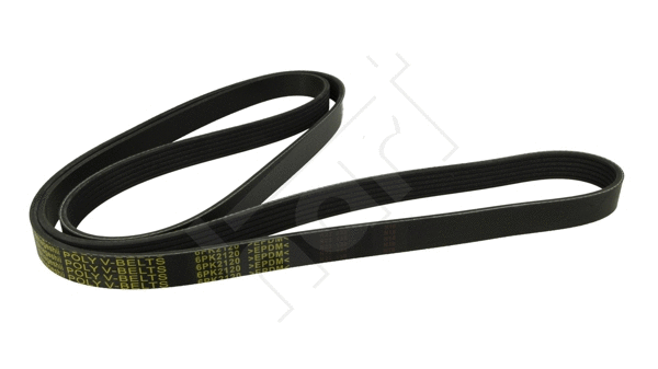 V-Ribbed Belt (368 980)