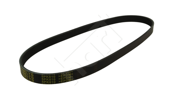 V-Ribbed Belt (368 895)