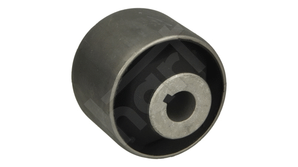 Mounting, control/trailing arm (434 670)