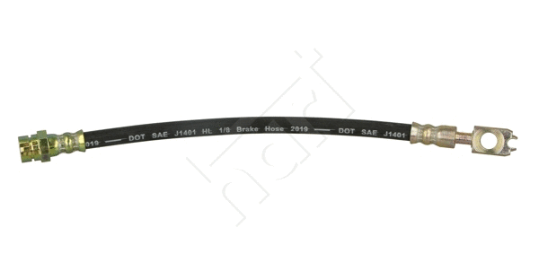 Brake Hose (254 097)