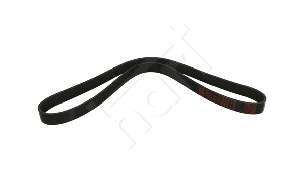 V-Ribbed Belt (930 692)
