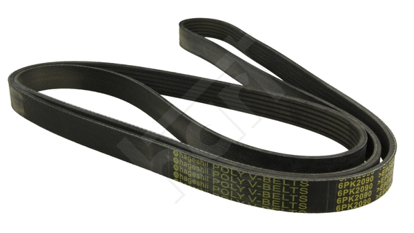 V-Ribbed Belt (368 979)