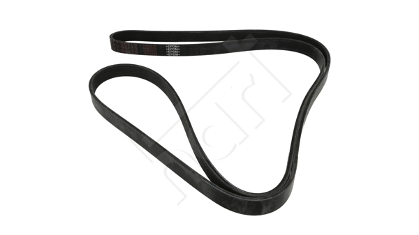 V-Ribbed Belt (930 687)