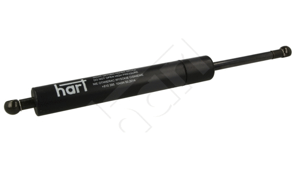 Gas Spring, boot/cargo area (810 395)