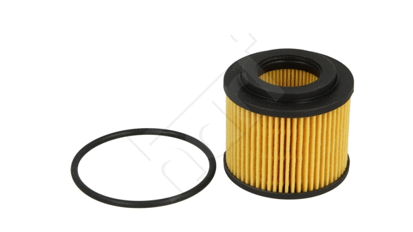 Oil Filter (335 585)