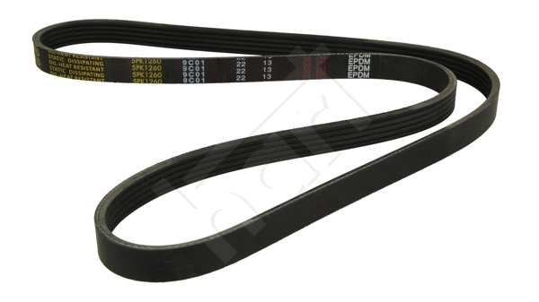 V-Ribbed Belt (334 303)