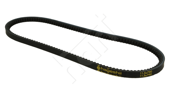 V-Belt (338 057)