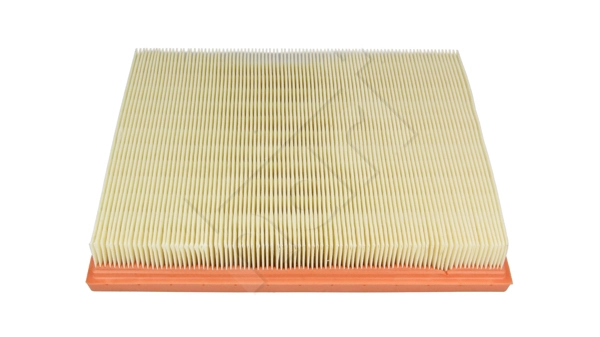Air Filter (932 502)