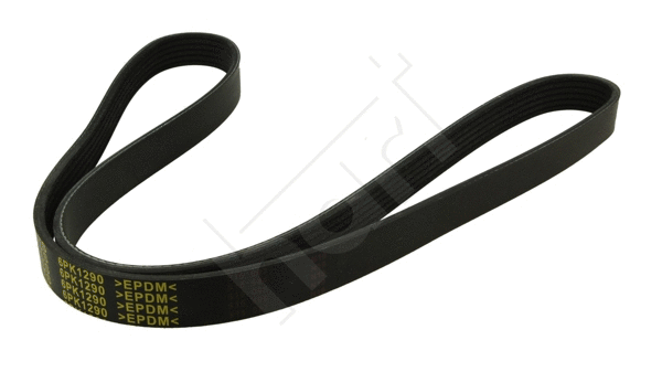 V-Ribbed Belt (368 927)