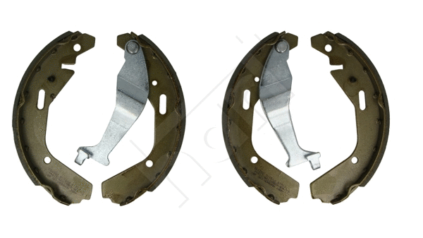 Brake Shoe Set (230 881)