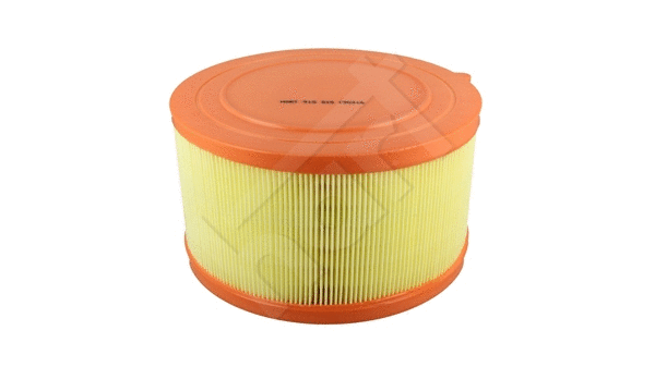 Air Filter (915 815)