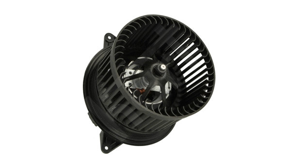 Interior Blower (523 113)