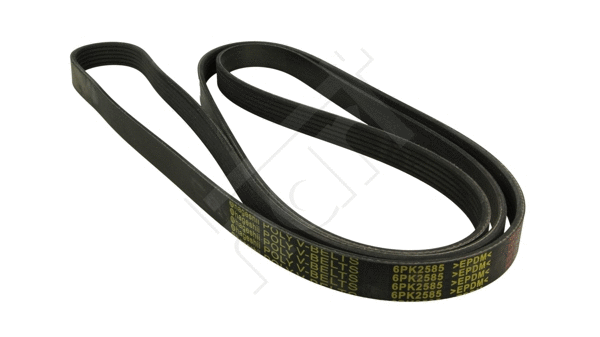 V-Ribbed Belt (368 992)